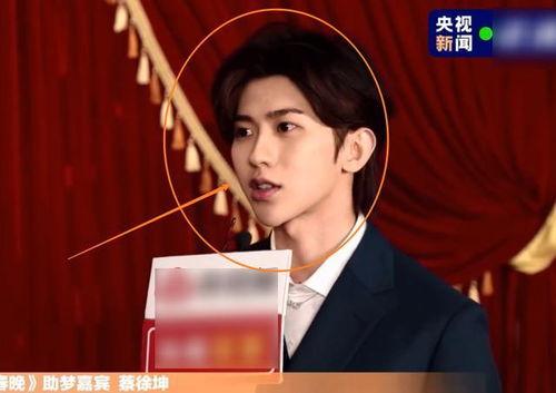央视爆料蔡徐坤视频最新,央视揭露背后真相